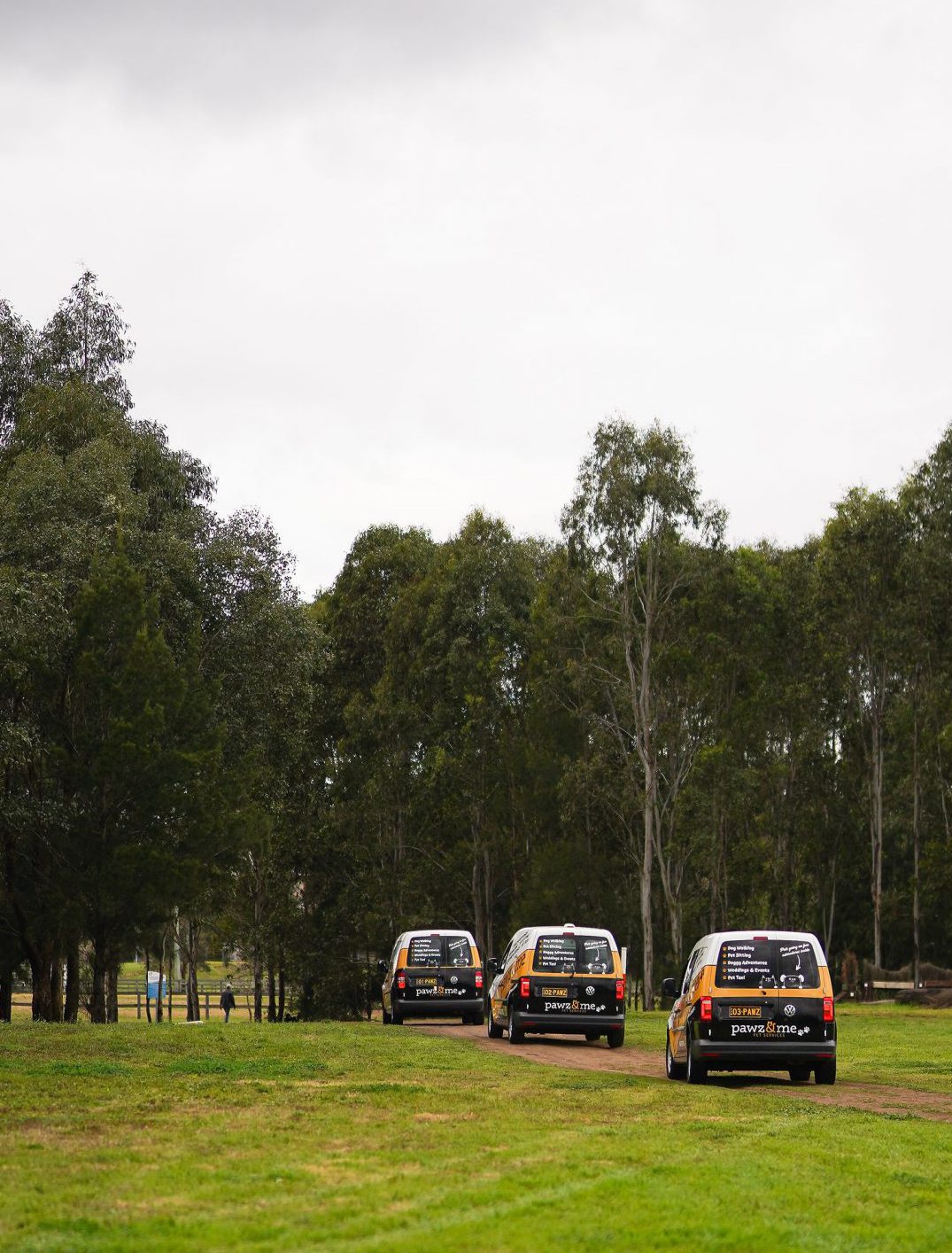 Pawz & Me Pet Taxi Service