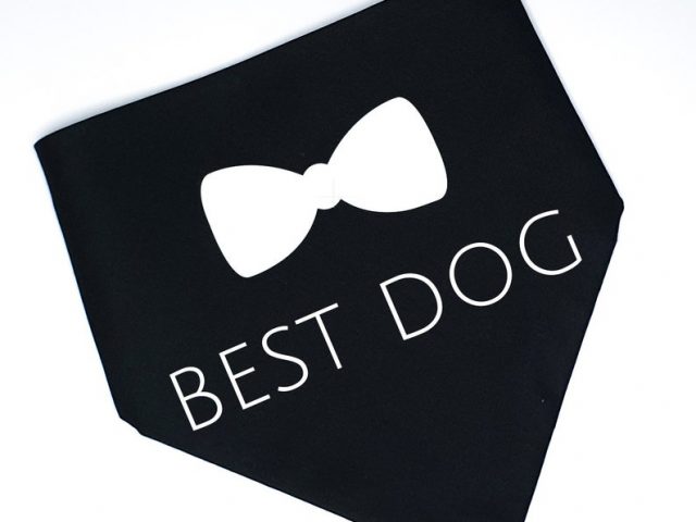 https://pawzandme.com.au/wp-content/uploads/2021/11/Bandana-Best-Dog-Black-Size-S-640x480.jpg