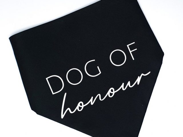 https://pawzandme.com.au/wp-content/uploads/2021/11/Bandana-Dog-of-Honour-Black-Size-S-640x480.jpg