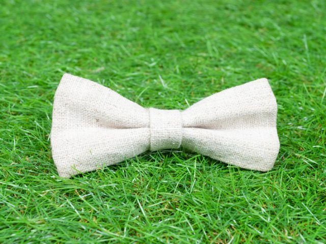 https://pawzandme.com.au/wp-content/uploads/2021/11/Bow-Tie-Hemp-Twill-640x480.jpg