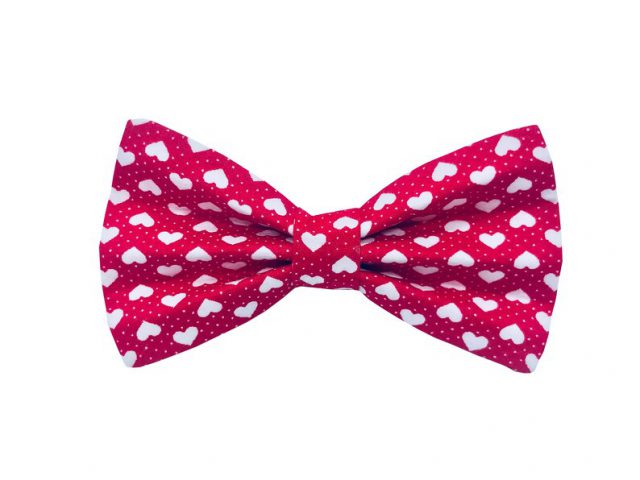 https://pawzandme.com.au/wp-content/uploads/2021/11/Dog-Bow-Tie-Red-with-Hearts-Size-L-640x480.jpg