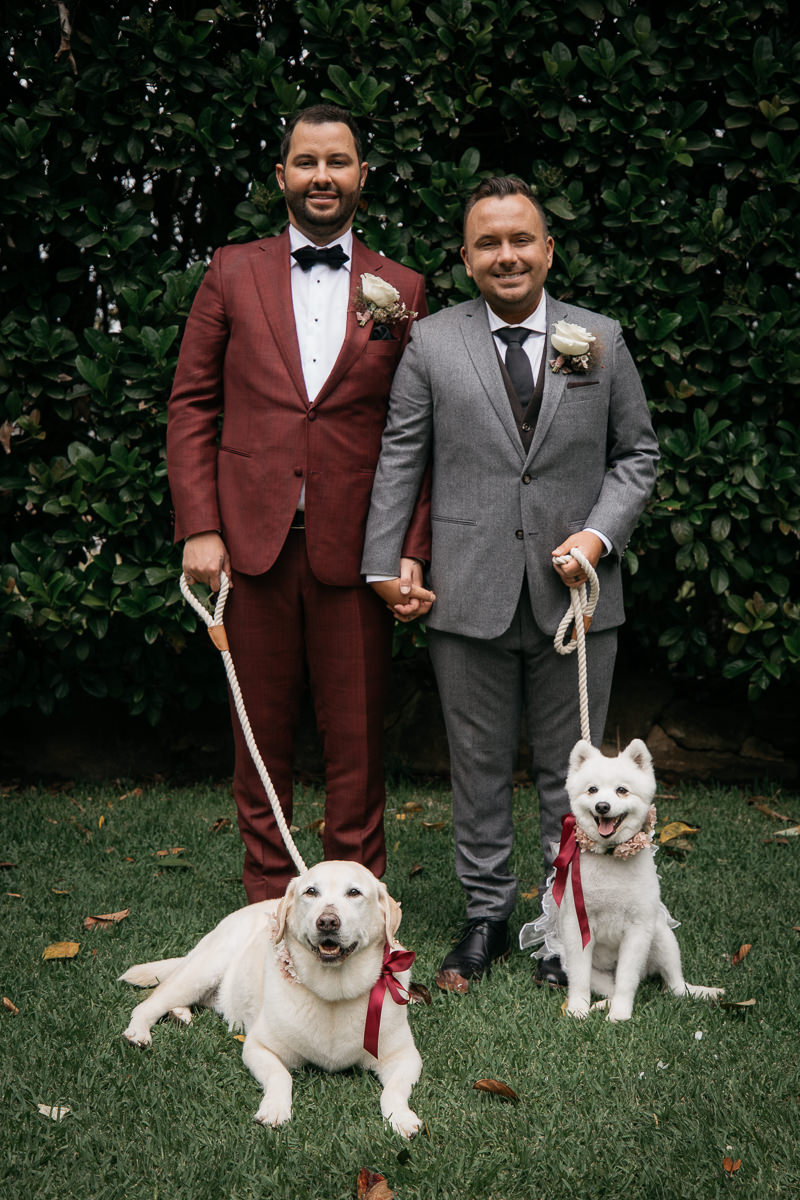Nathan and Brett's wedding with their dogs