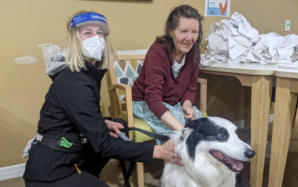 Pawz & Me Macarthur Advertiser article https://pawzandme.com.au/wp-content/uploads/2022/08/r0_63_4032_2742_w1200_h678_fmax-1020x640.jpg